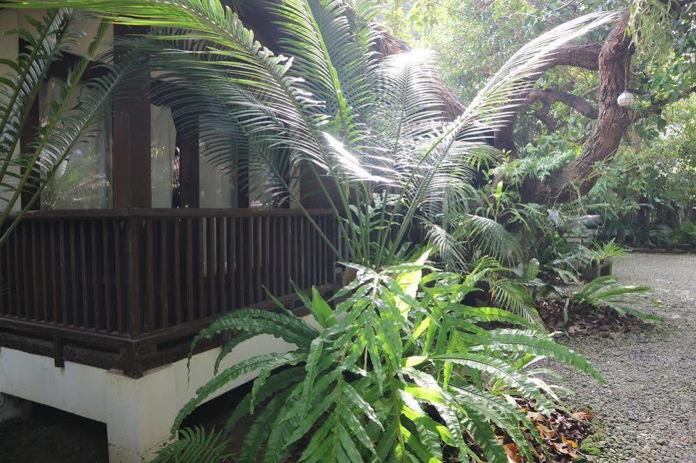 Blue Bayou Bungalows Balabag  Εξωτερικό φωτογραφία